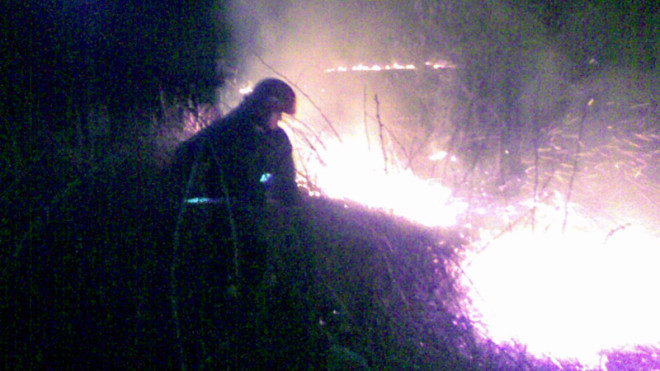 Ogień przeszedł kilkanaście metrów od domów
