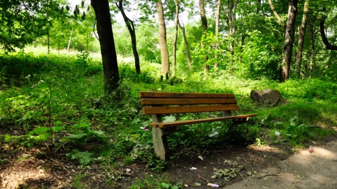 Lasek Uzbornia, 14.07.2011