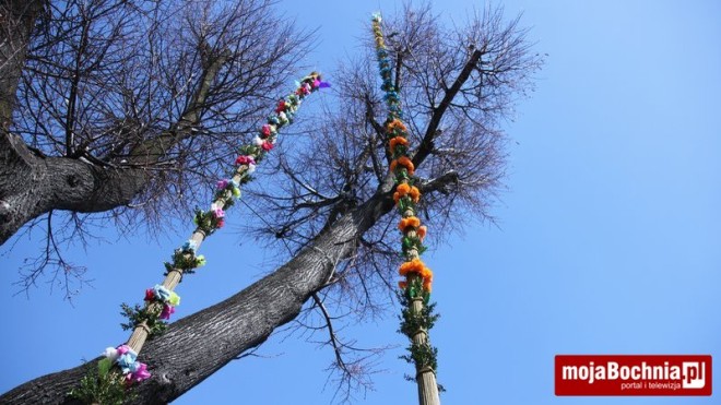 Niedziela palmowa w Lipnicy Murowanej, 24 III 2013