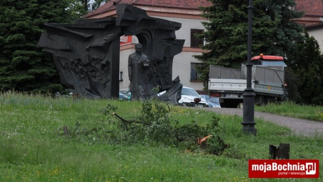 Wymiana zieleni na Placu Okulickiego