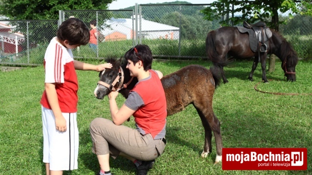 Piknik w Szkole Podstawowej nr 7, 24 V 2014