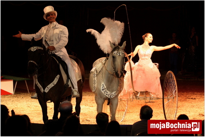 Cyrk Zalewski przybedzie do Bochni