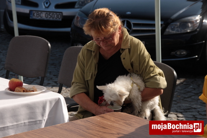 Wojciech Zastawniak zabiegał o głosy bochnian