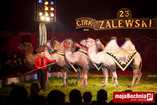 Występ Cyrku Zalewski w Rumi – 1 maja 2015