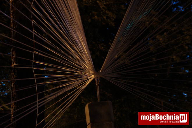 Instalacja Ryszarda Paprockiego na Plantach Salinarnych, 11 VII 2015