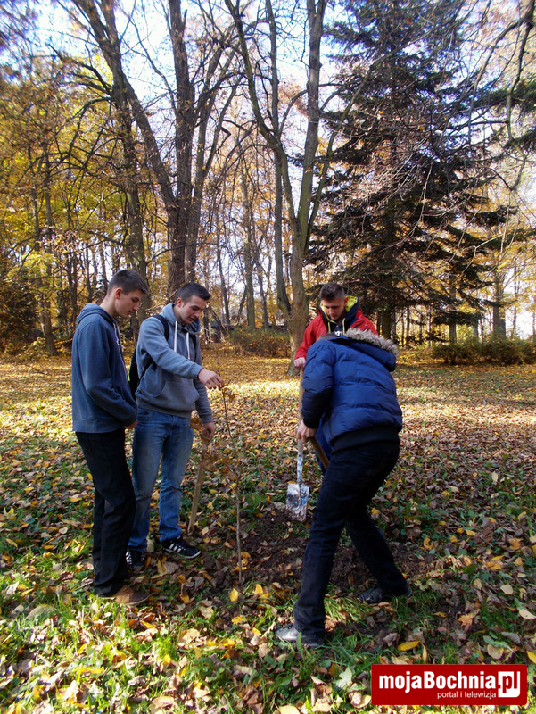 5 dębów w 5. rocznicę powstania Szkolnego Klubu Logistyki w ZS w Dąbrowicy