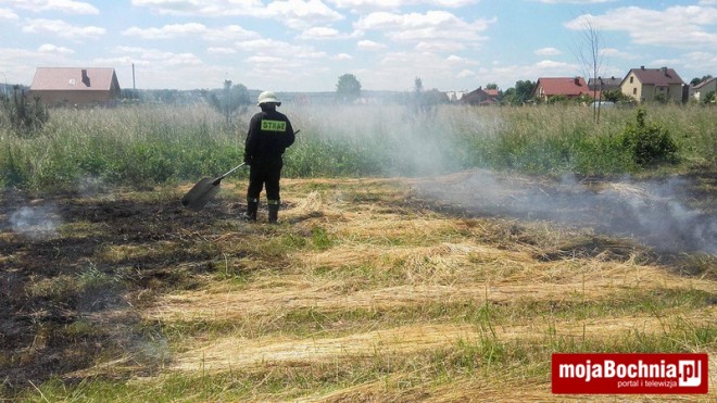 Pożar trawy w BSAG, 7 VI 2016