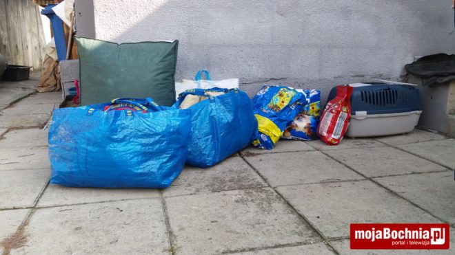 Młodziez z Gimnazjum nr 1 pomaga bezdomnym psom