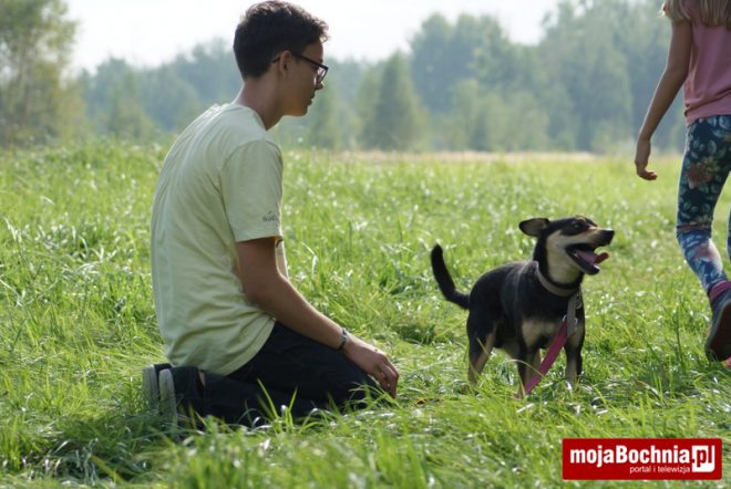 Młodziez z Gimnazjum nr 1 pomaga bezdomnym psom