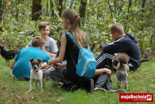 Młodziez z Gimnazjum nr 1 pomaga bezdomnym psom