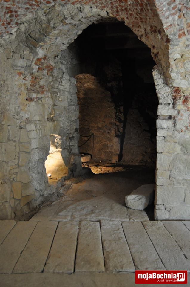 Na Zamku w Wiśniczu otwarto Trasę Nietoperza