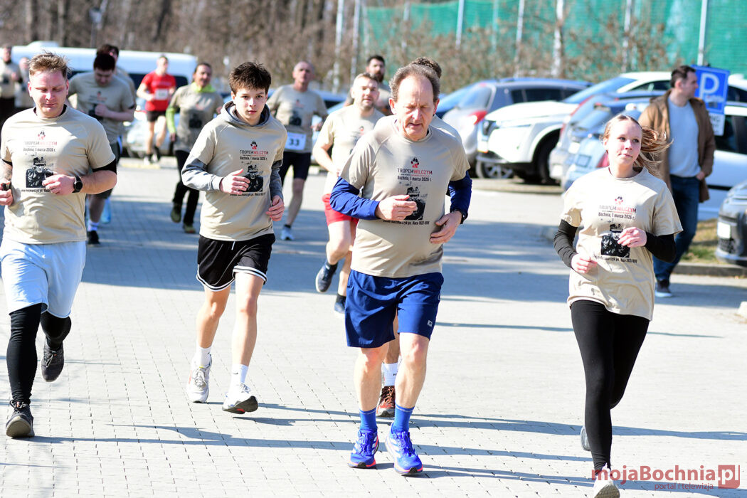 BIeg Tropem Wilczym w Bochni, 1 marca 2026 roku